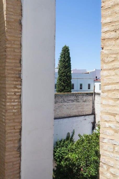 Precioso Apart - Localizacion Perfecta **Wifi - A/C** Seville Luaran gambar